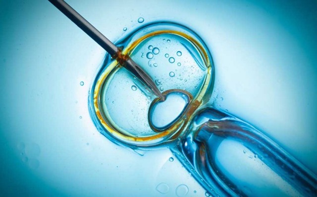 Как форма сперматозоидов влияет на вероятность зачатия? Виды тератозооспермии